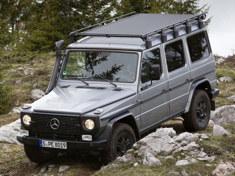  Mercedes-Benz G300 CDI Professional 2010 года  (фото 33 из 35)
